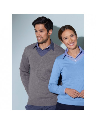 Men's V-Neck Pullover