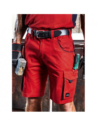 Workwear Bermudas - Color