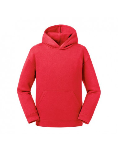 Kids Authentic Hooded Sweat