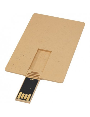 USB carta di credito con scocca biodegradabile