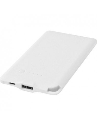 Powerbank WS119 da 4000 mAh