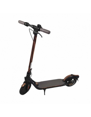 Segway Ninebot KickScooter F25E II