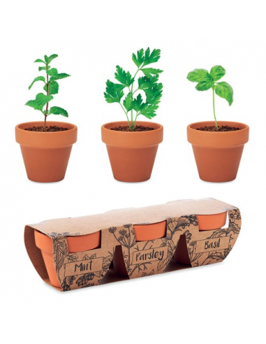 Set di erbe in terracotta FLOWERPOT