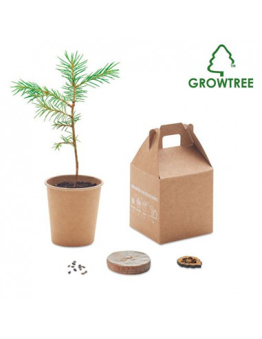 Set in legno di pino GROWTREE™