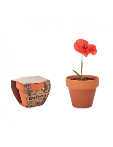 Semi di papavero RED POPPY