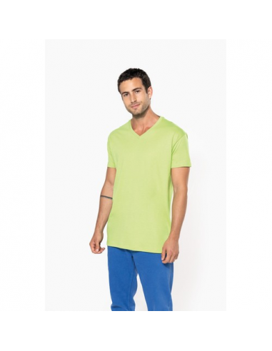 T-shirt uomo BIO150IC scollo a V