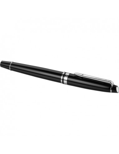 Waterman penna stilografica Expert