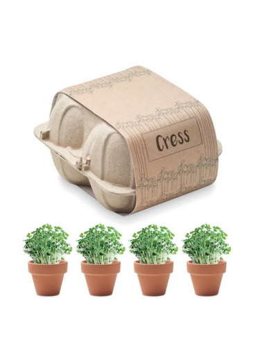 CRESS Kit di coltivazione in cartone