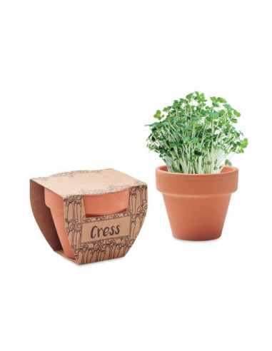 Semi di crescione in vaso CRESS POT