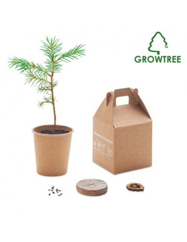 GROWTREE™ Set in legno di pino