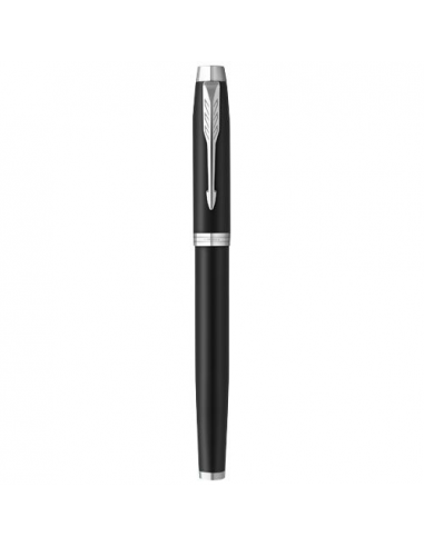 Parker penna stilografica IM (inchiostro blu)