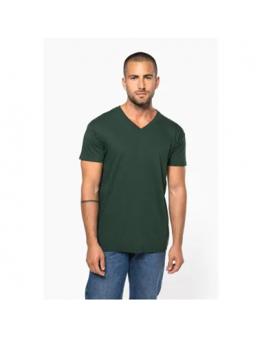 T-shirt uomo BIO150 IC scollo a V